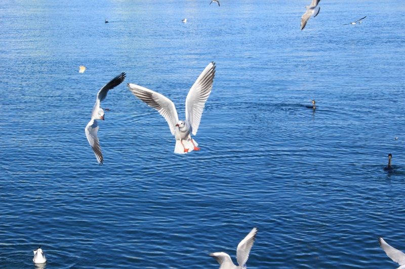 a0167759_23434861.jpg
