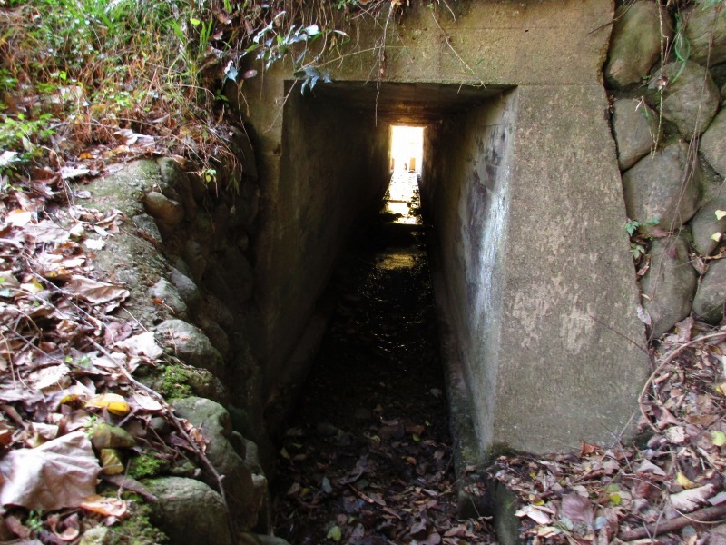 b0362459_14402321.jpg