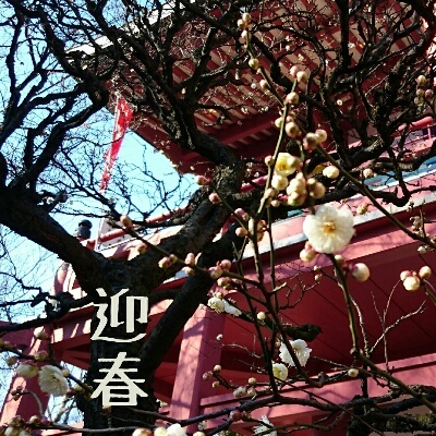 d0033068_18563885.jpg
