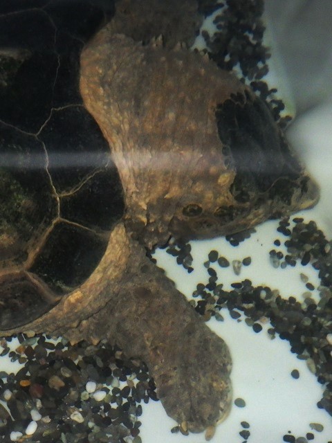c0105569_23297.jpg