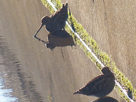 f0357487_2113542.jpg
