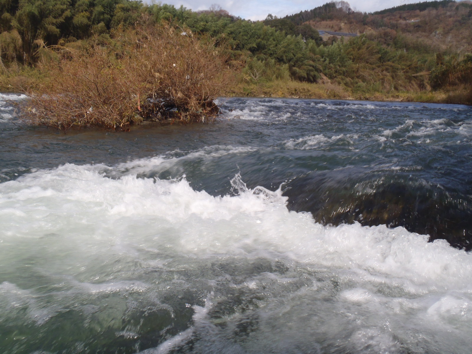 b0139489_22254149.jpg