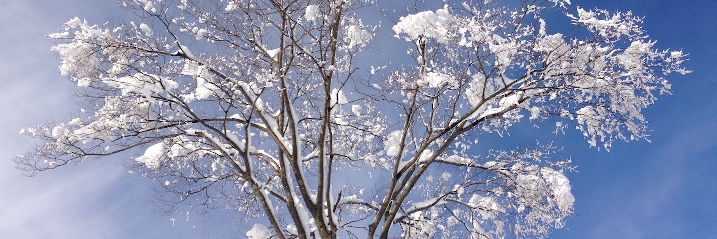 c0170789_09032002.jpg