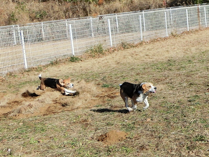 a0319693_835259.jpg