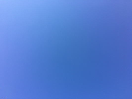 b0160300_22134086.jpg