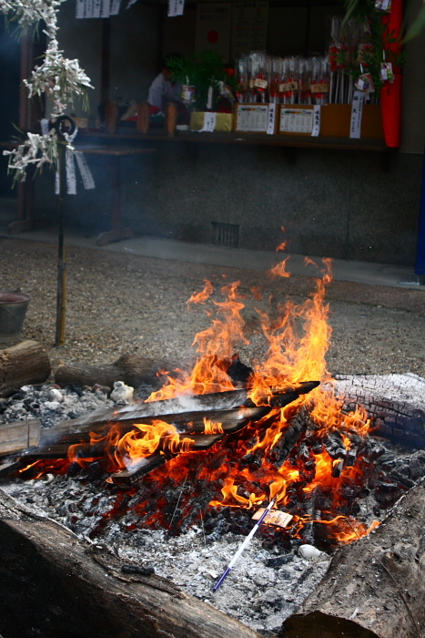f0083400_00512999.jpg