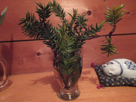 a0203003_21433336.jpg