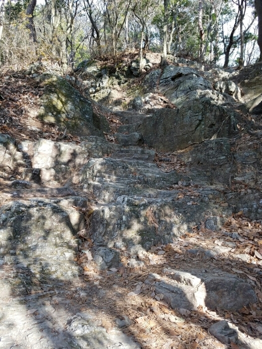 a0194911_20435589.jpg