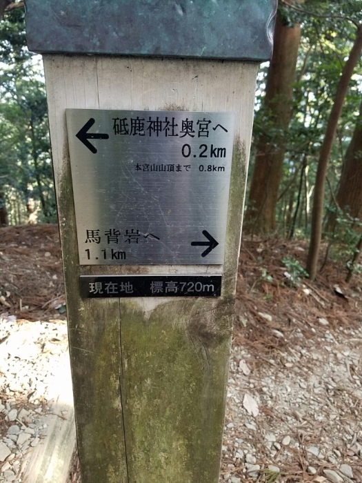a0194911_21035524.jpg