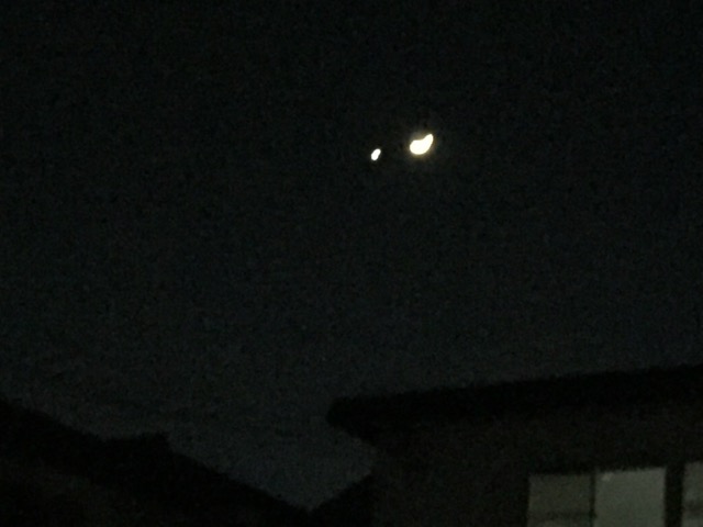 c0004211_5224839.jpg