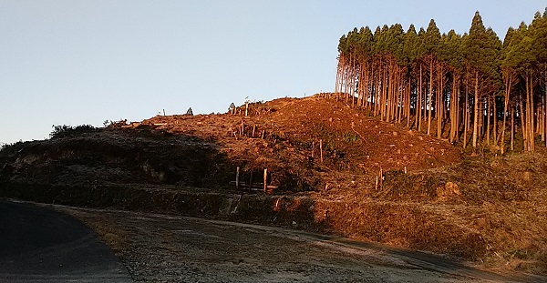 f0042737_10273246.jpg