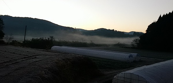 f0042737_1043423.jpg