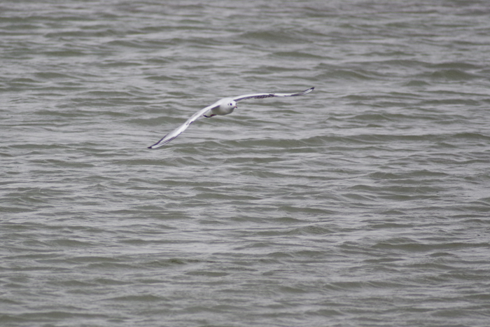 b0247838_22463750.jpg