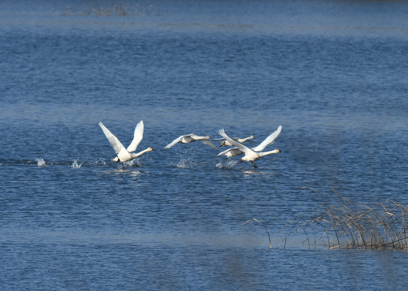 d0290240_07332543.gif