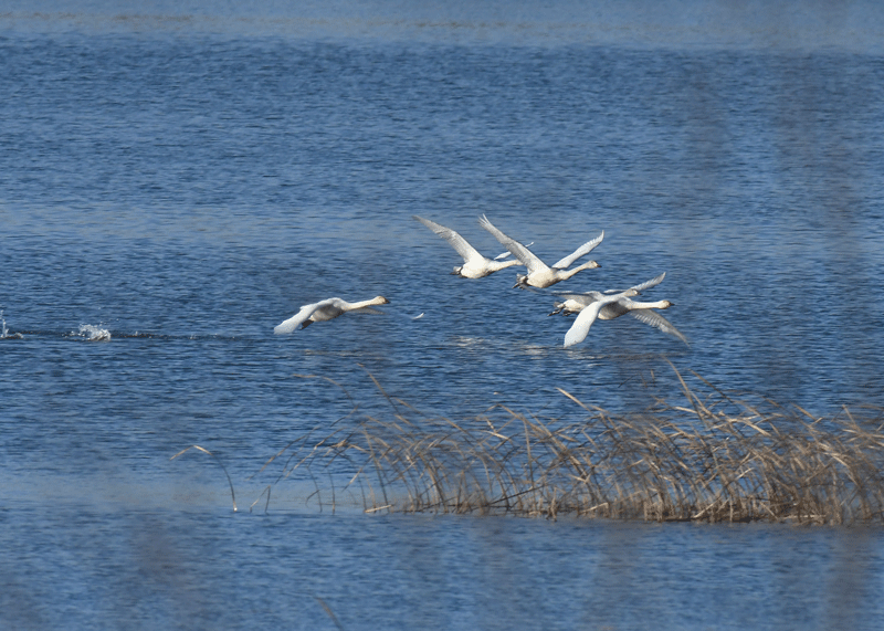 d0290240_07333473.gif