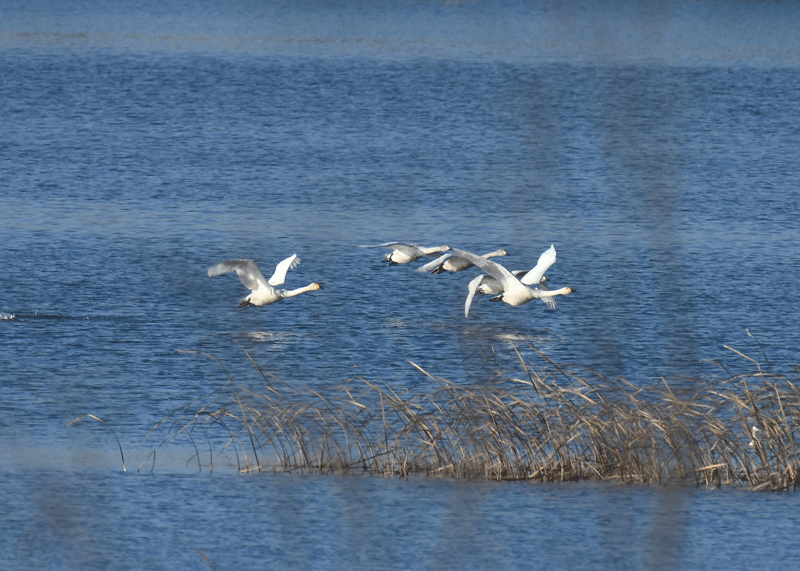 d0290240_07334226.gif