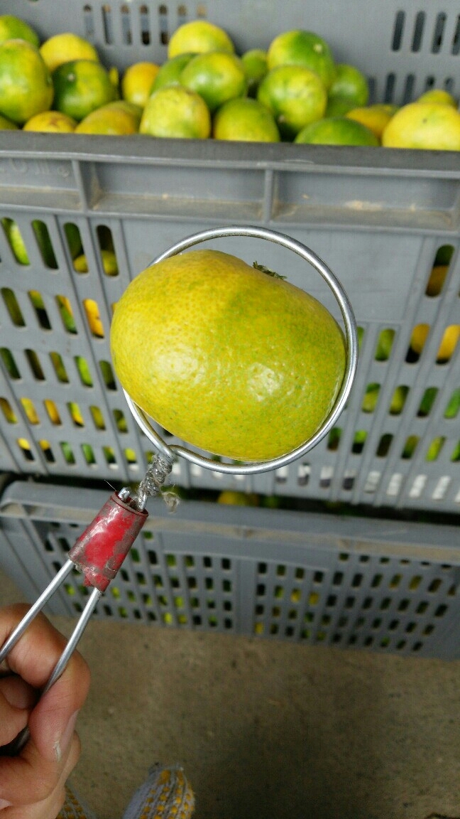 f0347942_21572441.jpg
