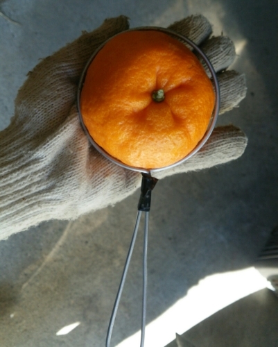 f0347942_21572603.jpg