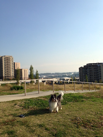 c0227245_19352394.jpg