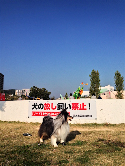 c0227245_193542.jpg