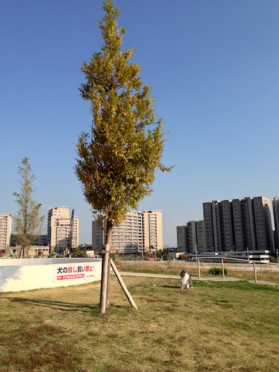 c0227245_1935438.jpg