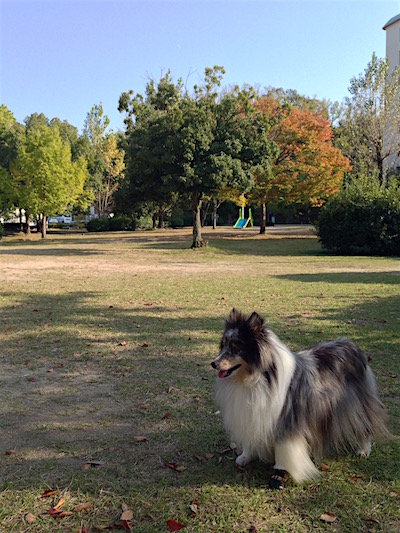 c0227245_19381085.jpg