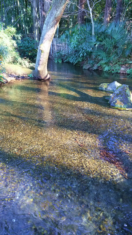b0097747_18353100.jpg