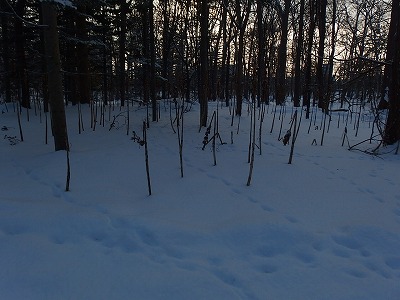 e0004756_2110851.jpg