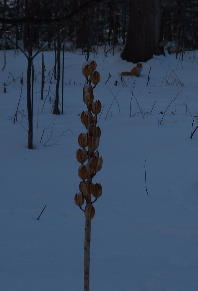 e0004756_2114377.jpg