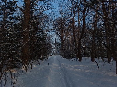 e0004756_2143070.jpg