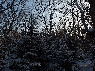 e0004756_2174886.jpg