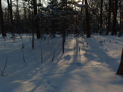 e0004756_2194355.jpg