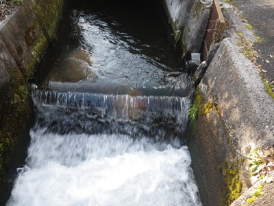 b0254058_153672.jpg