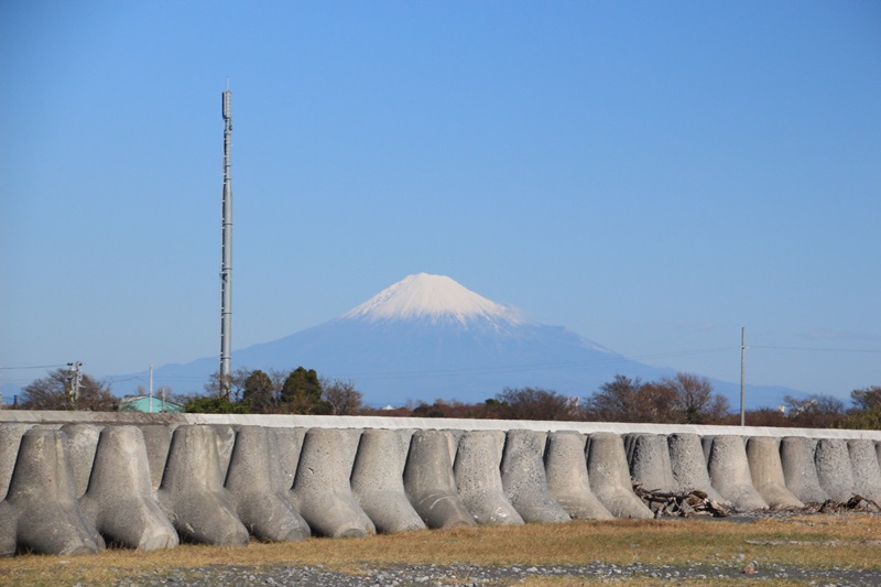 a0167759_13543545.jpg