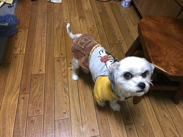c0162160_17145727.jpg
