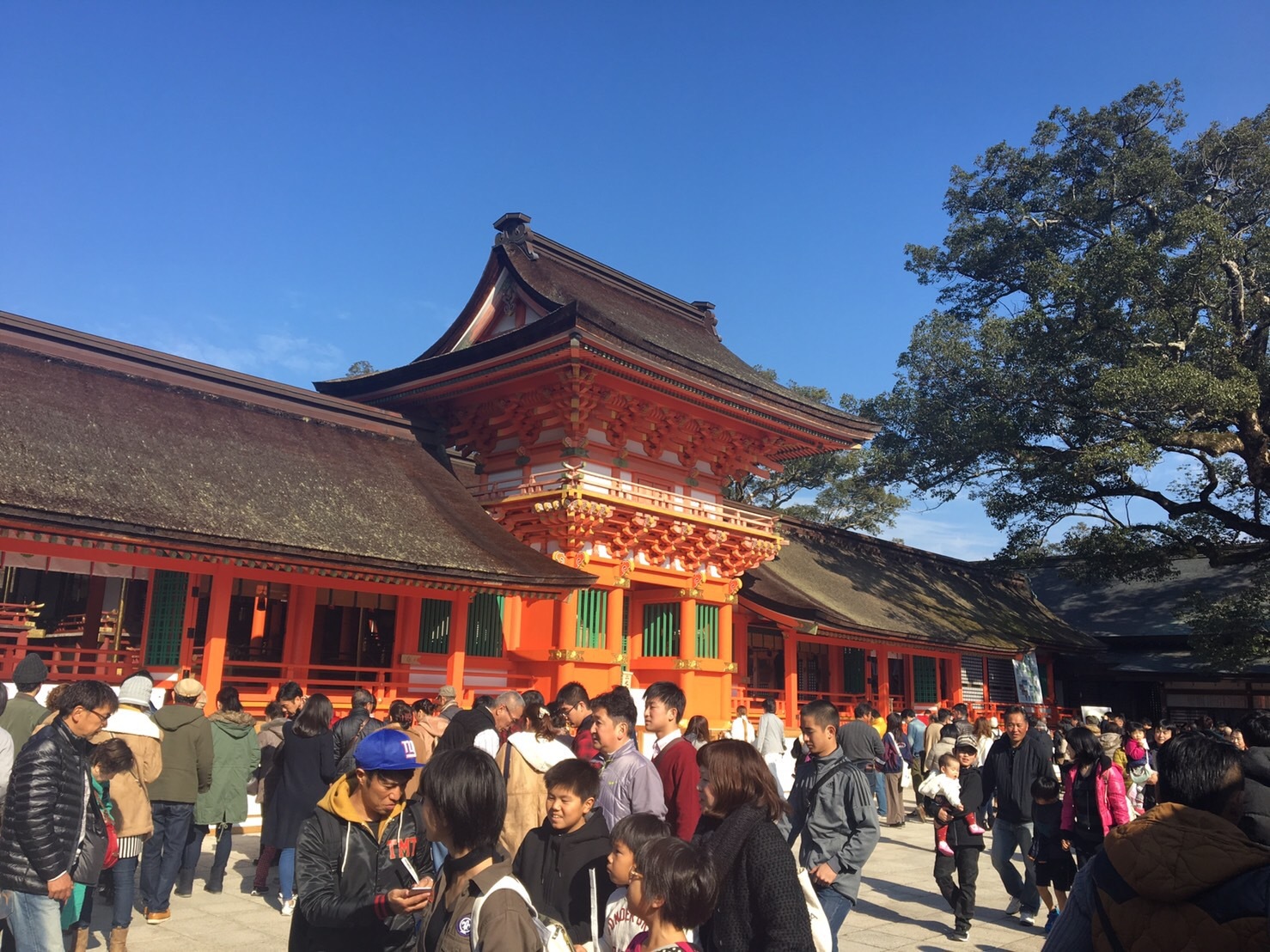 b0199774_14263116.jpeg