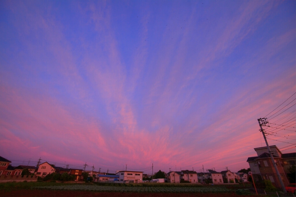 b0163088_16525044.jpg