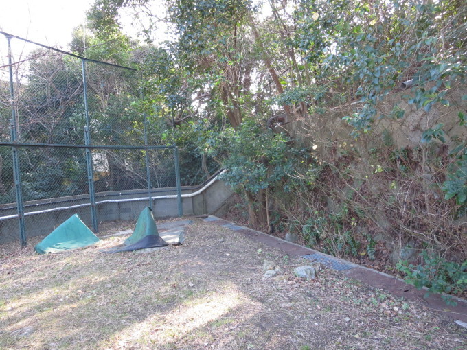 f0013998_18315745.jpg