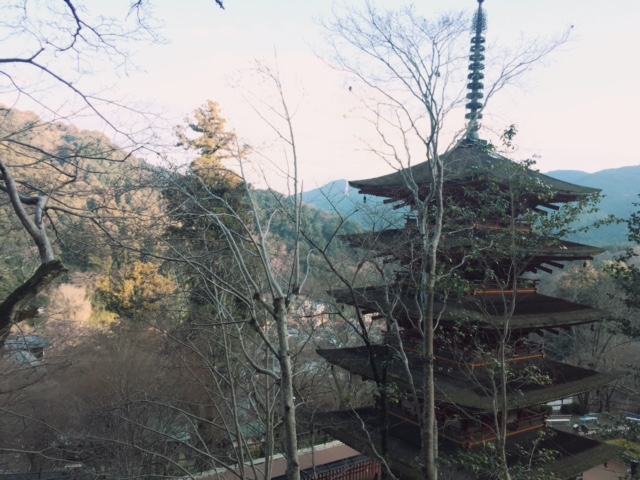 a0050302_2513461.jpg
