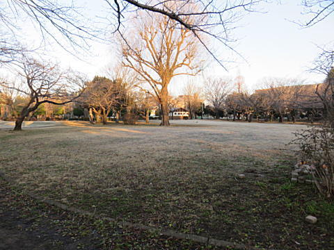 d0046702_10112791.jpg