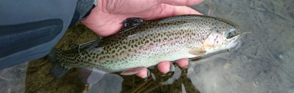 f0266202_20363485.jpg