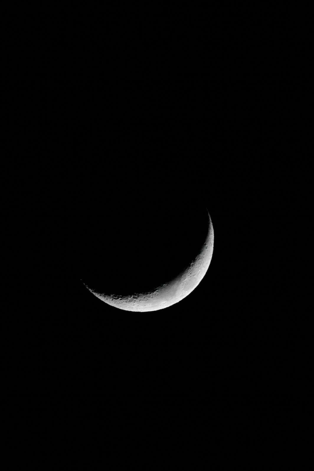 a0155104_00463784.jpg