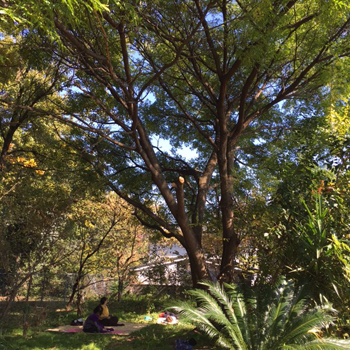 a0201204_2013073.jpg