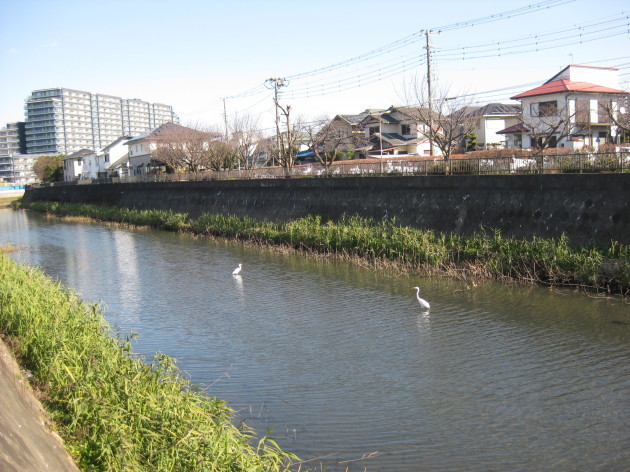 b0183111_09370826.jpg