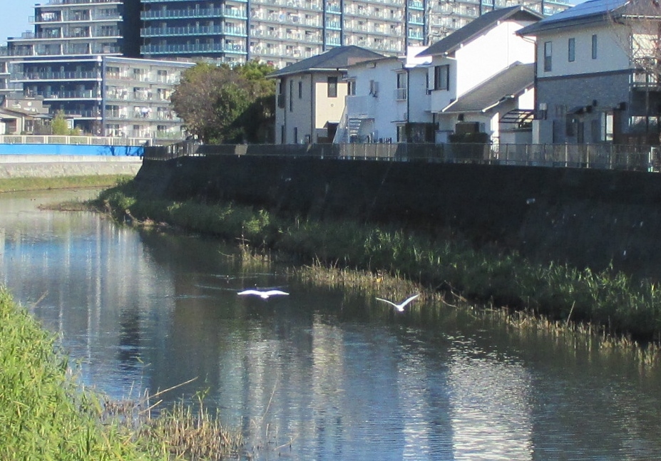 b0183111_09393954.jpg