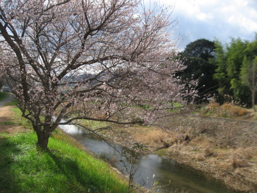 c0062511_20473365.jpg