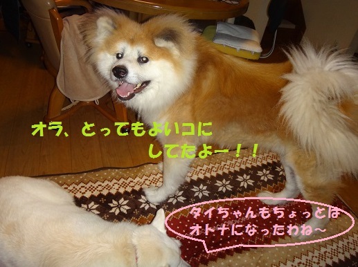 f0121712_06293716.jpg