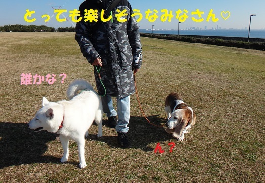 f0121712_06433181.jpg