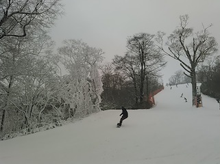 c0359615_20451147.jpg