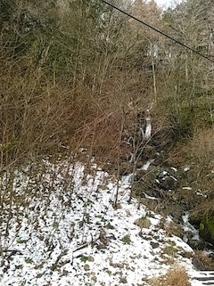 c0359615_20455884.jpg